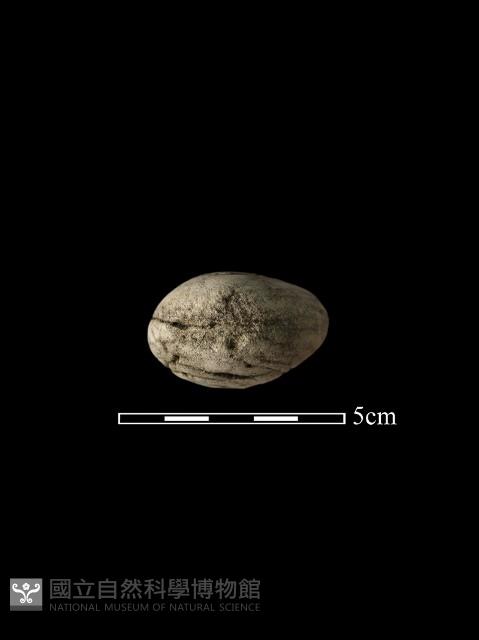 石鎚藏品圖，第4張