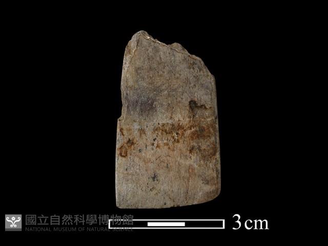 錛鑿形器藏品圖，第4張