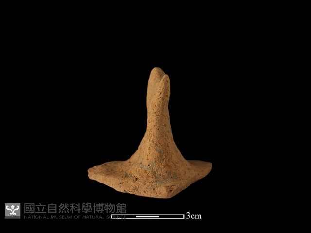 陶蓋鈕藏品圖，第4張