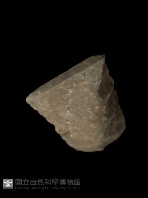 錛鑿形器藏品圖，第4張