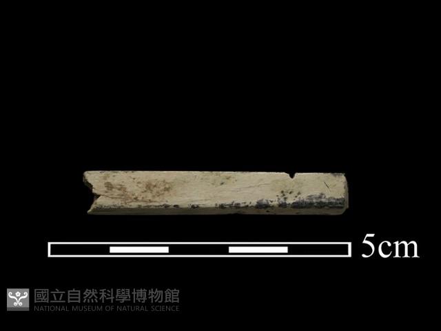 玉飾藏品圖，第4張