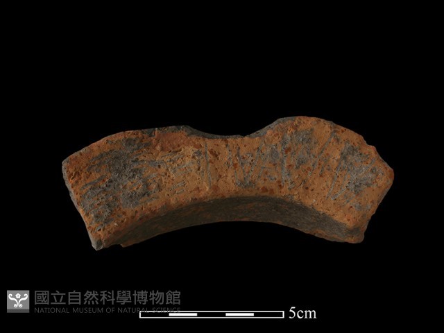 陶罐藏品圖，第4張