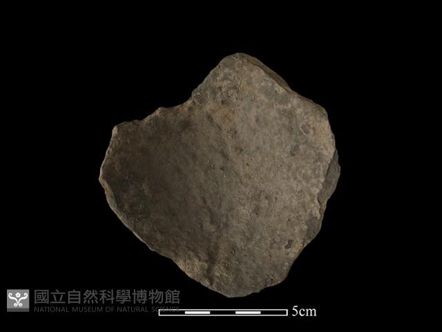 陶片藏品圖，第4張