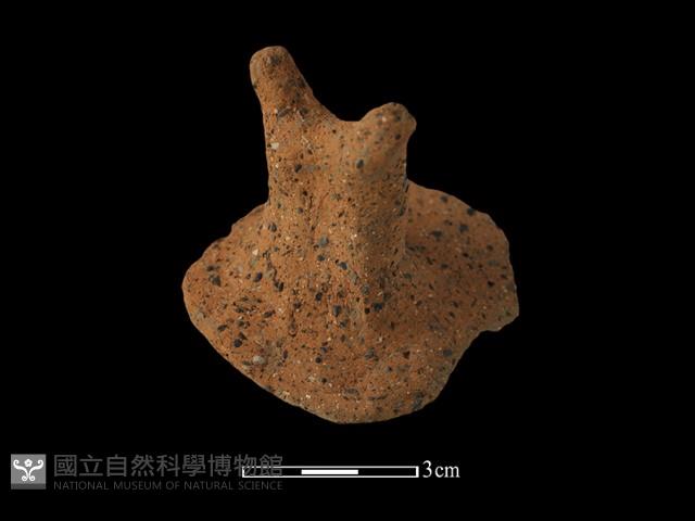 陶蓋鈕藏品圖，第4張