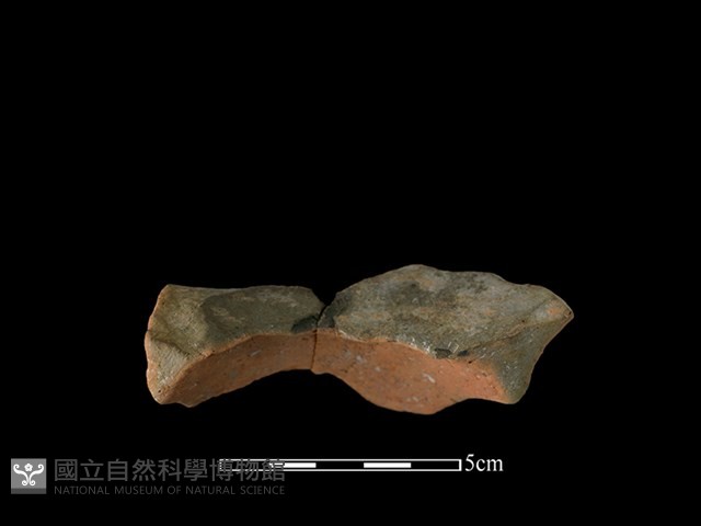 陶罐藏品圖，第3張