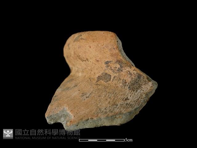 陶罐藏品圖，第3張