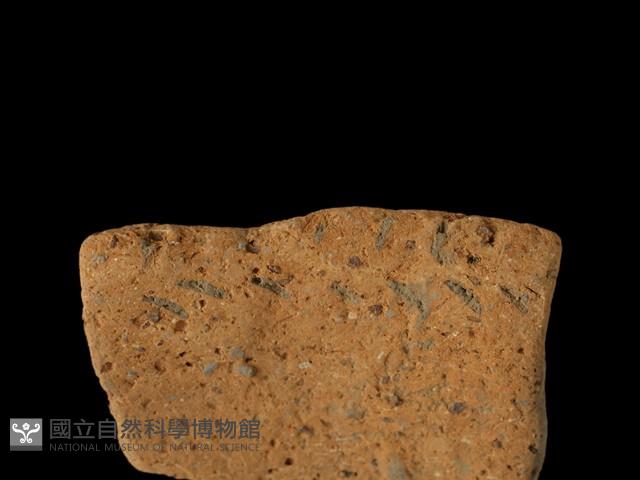 陶罐藏品圖，第1張