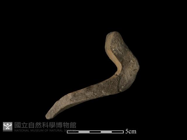 陶罐藏品圖，第3張