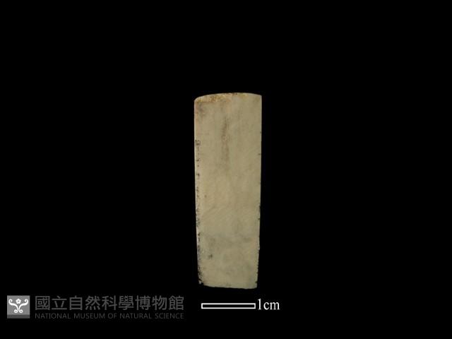 錛鑿形器藏品圖，第1張