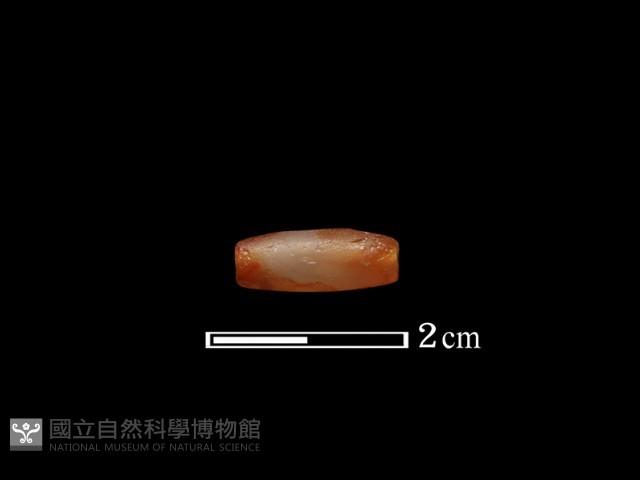 珠飾藏品圖，第3張