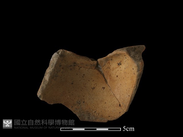 陶片藏品圖，第4張