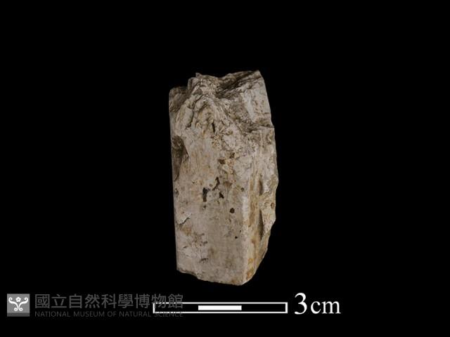 錛鑿形器藏品圖，第3張