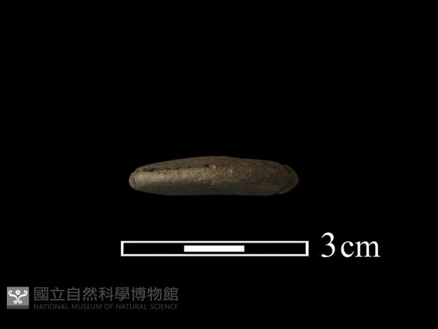 網墜藏品圖，第3張