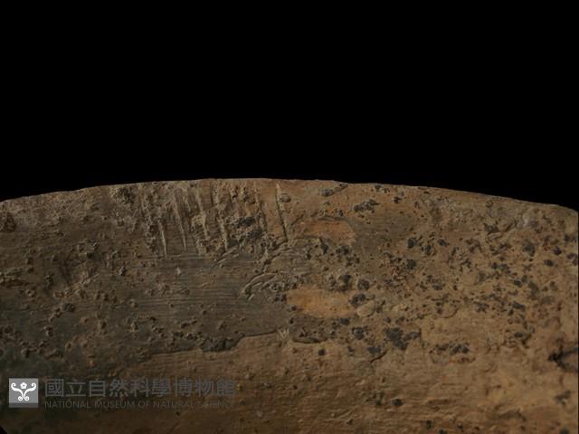 陶罐藏品圖，第3張