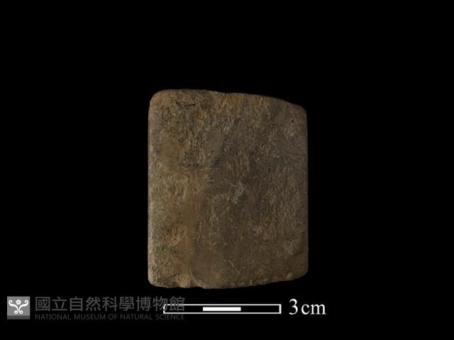 錛鑿形器藏品圖，第3張