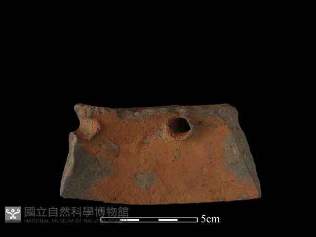 陶片藏品圖，第1張