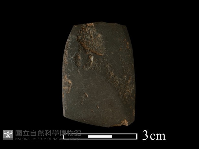錛鑿形器藏品圖，第3張