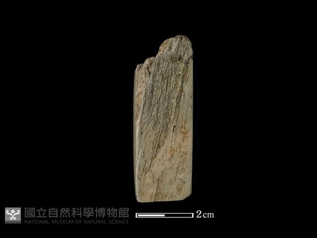 錛鑿形器藏品圖，第3張