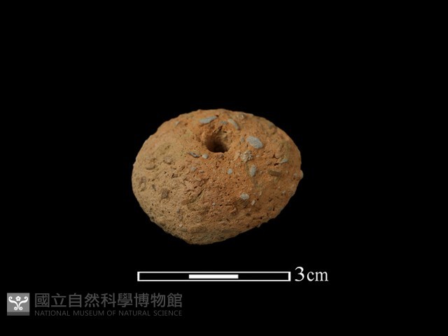 紡輪藏品圖，第3張