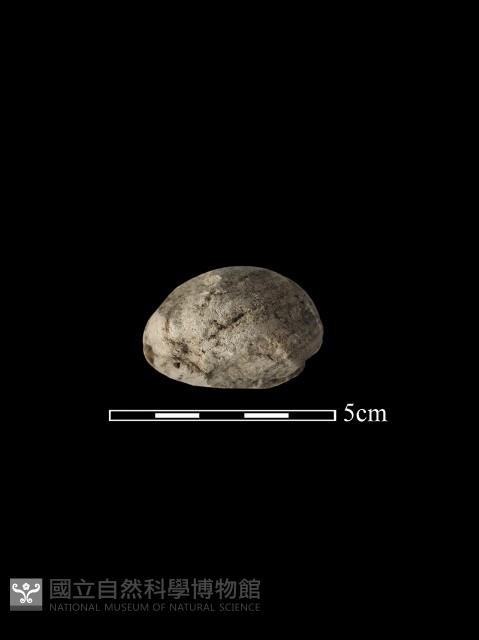 石鎚藏品圖，第3張