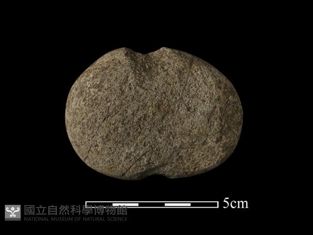 網墜藏品圖，第3張