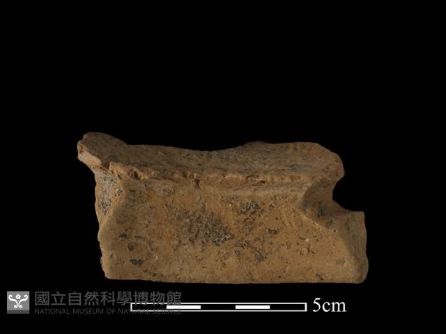 陶片藏品圖，第3張