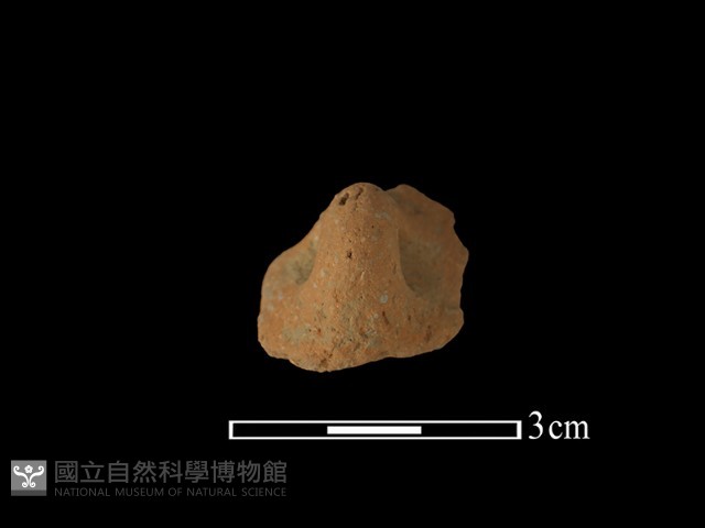 陶把藏品圖，第1張
