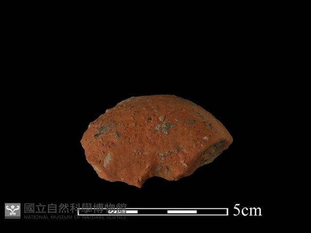 紡輪藏品圖，第4張