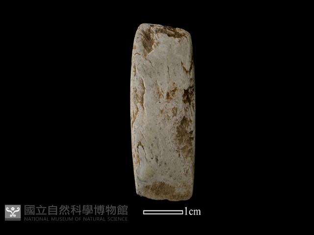 錛鑿形器藏品圖，第1張