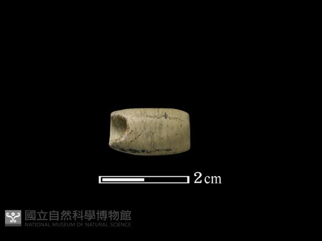 管珠藏品圖，第3張