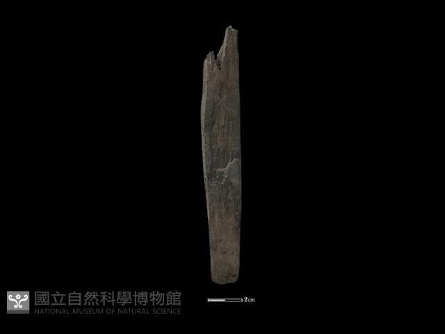 錛鑿形器藏品圖，第3張