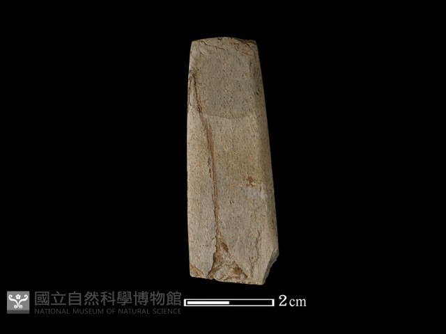 錛鑿形器藏品圖，第3張