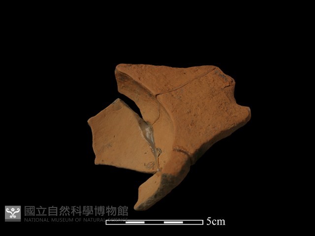 連杯形器藏品圖，第3張