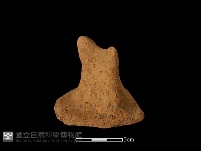 陶蓋鈕藏品圖，第1張