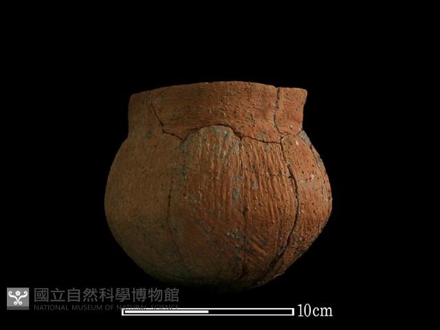 陶罐藏品圖，第4張