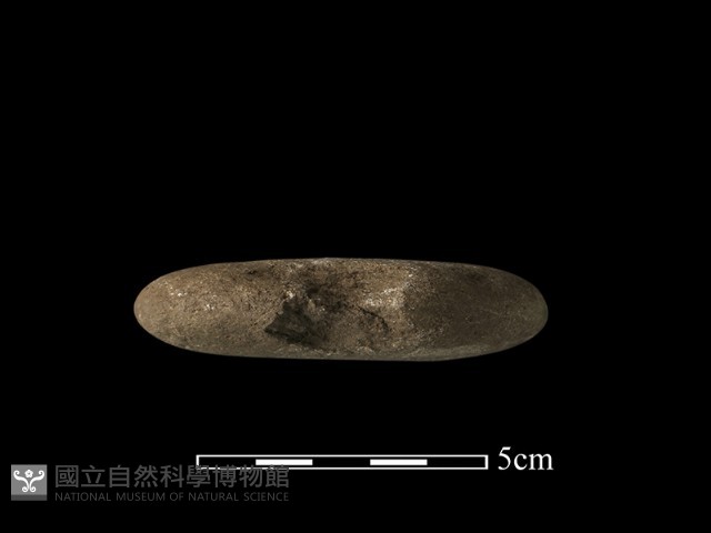 網墜藏品圖，第1張