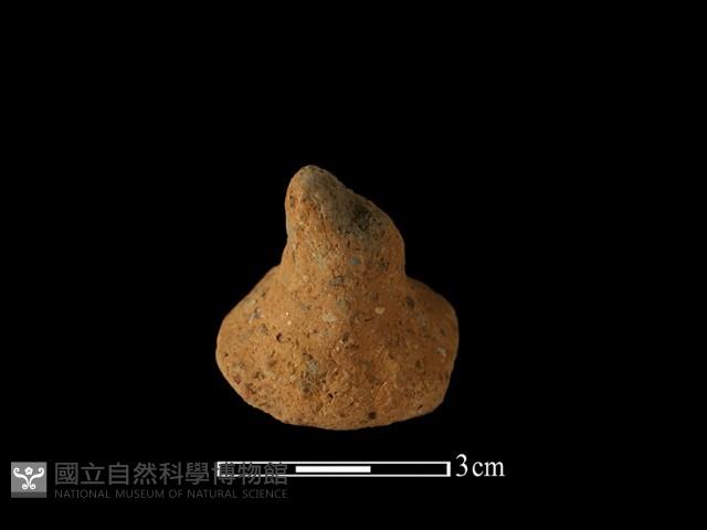 陶蓋鈕藏品圖，第3張