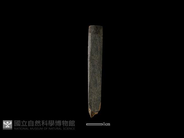 Accession Number:AA200908124 Collection Image, Figure 3, Total 3 Figures