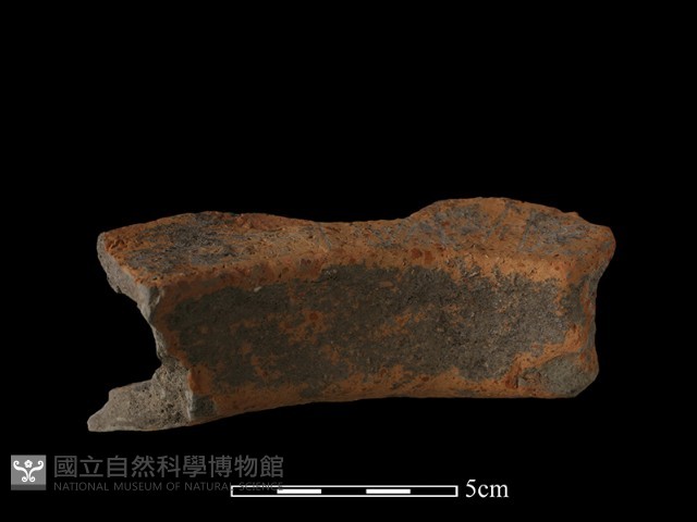 陶罐藏品圖，第3張