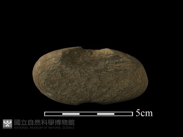 網墜藏品圖，第3張