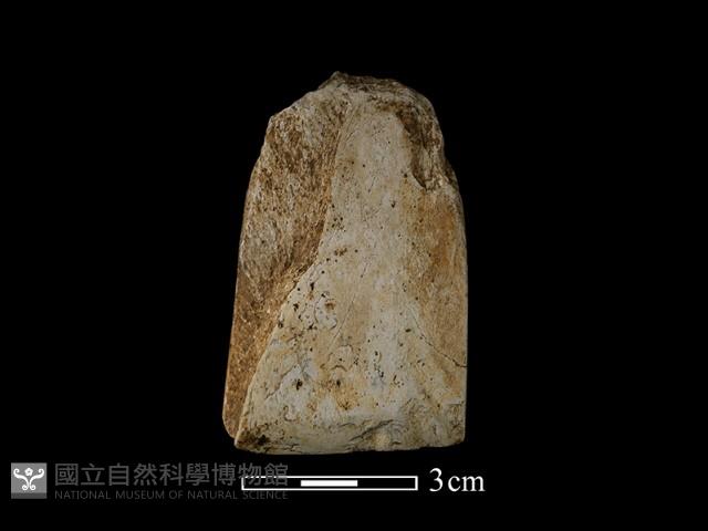 錛鑿形器藏品圖，第1張