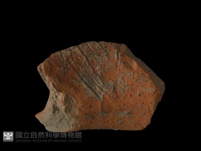 陶罐藏品圖，第1張