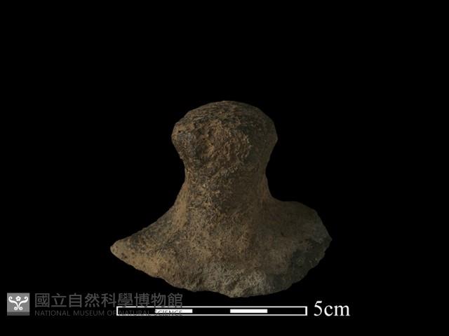 陶蓋鈕藏品圖，第3張