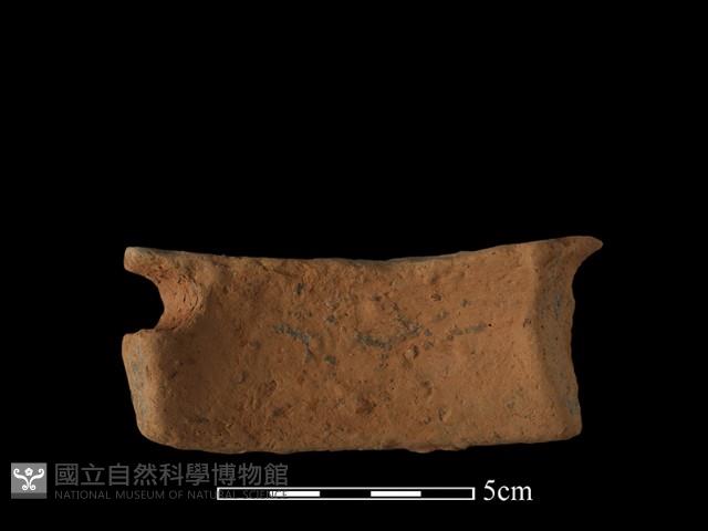 陶片藏品圖，第3張