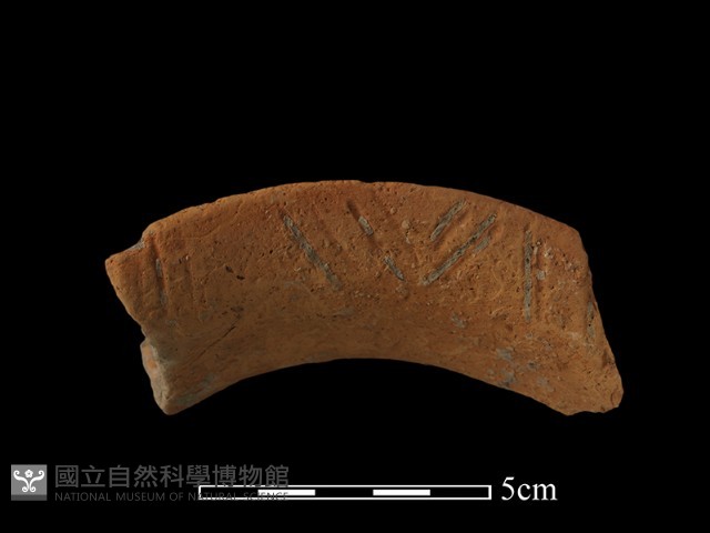陶罐藏品圖，第3張