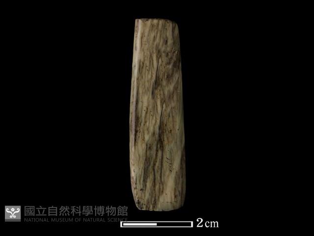 錛鑿形器藏品圖，第3張