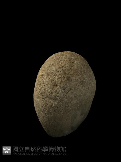 石杵藏品圖，第3張