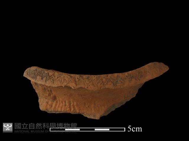 陶罐藏品圖，第1張