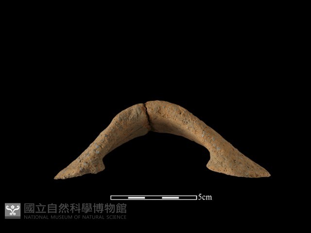 陶把藏品圖，第3張