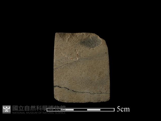 錛鑿形器藏品圖，第1張